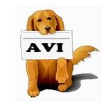 avi mp4