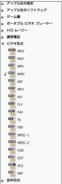 wmv形式の指定